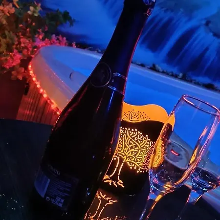Albatros رشيشوف
